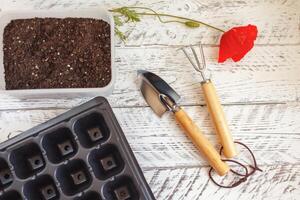 Accueil jardinage. plante se soucier. blanc en bois Contexte photo