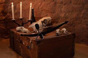 photo zone dans le studio pour Halloween. spectaculaire, paysage pour tout saints journée célébrations. octobre 31, photo studio. crânes de animaux sur un vieux valise, bougies dans une bureau, une arbalète.