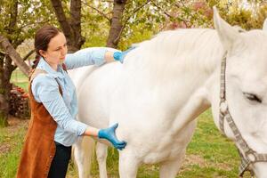 aimer, se soucier pour animaux. nature, printemps photo