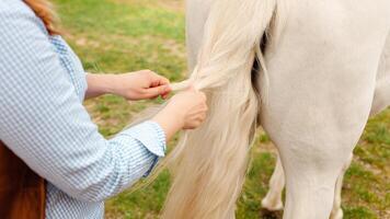 aimer, se soucier pour animaux. nature, printemps photo