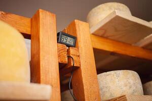 haute humidité dans cave, sous-sol. les fromages sur en bois étagères, mûrir avec moule. Accueil production. photo