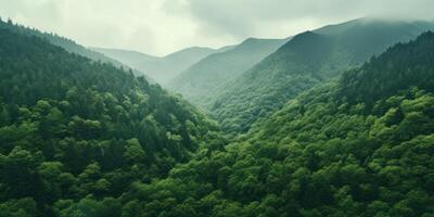 ai généré une gros vert forêt sur le côté de une Montagne photo