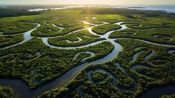 ai généré génératif ai, aérien vue de labyrinthe les voies navigables, drone photo, magnifique paysage photo