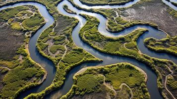 ai généré génératif ai, aérien vue de labyrinthe les voies navigables, drone photo, magnifique paysage photo