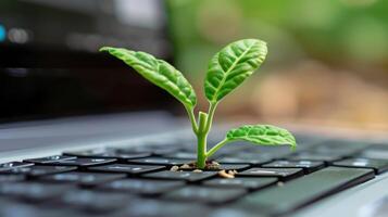 ai généré génératif ai, plante croissance de le portable clavier. écologie et environnement concept photo