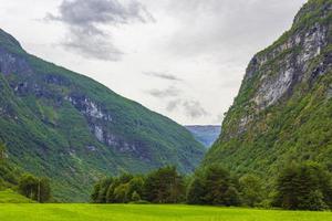paysage de montagne et prairie utladalen norvège. les plus beaux paysages norvégiens.