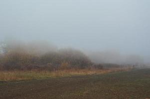 brouillard et brume matinale dans la forêt et le village photo