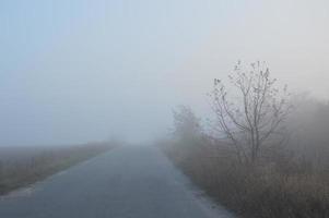 brouillard et brume matinale dans la forêt et le village photo