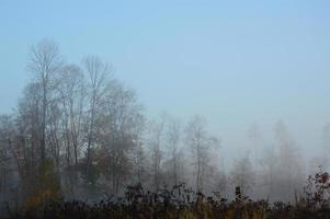 brouillard et brume matinale dans la forêt et le village photo