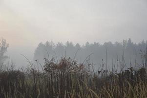 brouillard et brume matinale dans la forêt et le village photo