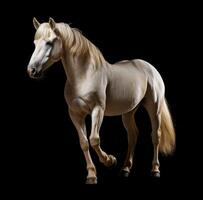ai généré une blanc cheval avec longue cheveux permanent dans de face de une noir Contexte photo