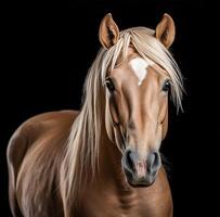 ai généré foncé Contexte avec une blond cheval photo