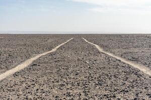 2 lignes fabrication en haut le queue de le insecte figure de le célèbre Nazca lignes. cette Les figures est Couper dans moitié par le la poêle américain Autoroute, panaméricaine sur photo