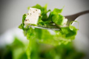 Frais vert salade salade avec mozzarella et herbes sur une fourchette photo
