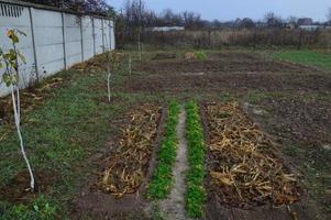 jardin préparé pour les plantes et les arbres d'hiver photo