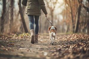 ai généré rare vue de une chien des promenades dans le parc avec femelle propriétaire de premier plan le laisse. photo