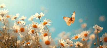 ai généré un aérien vue de marguerites et une papillon en volant au dessus une bleu ciel photo