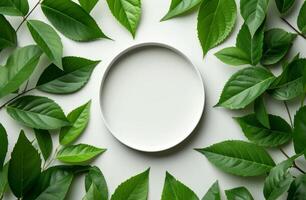 ai généré une terrarium ou vert Cadre avec feuilles et une blanc carré assiette photo