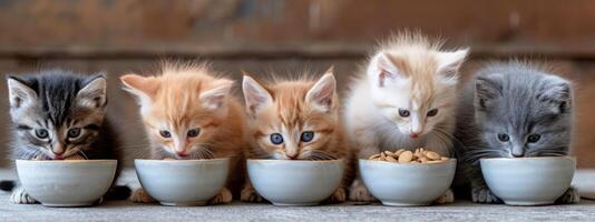 ai généré six petit chatons manger nourriture en dehors de une bol photo