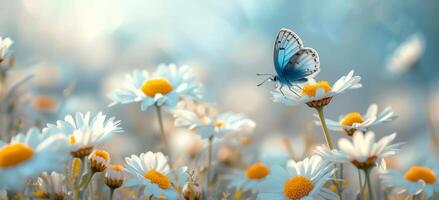 ai généré blanc marguerites et une bleu papillon en volant dans le ciel photo