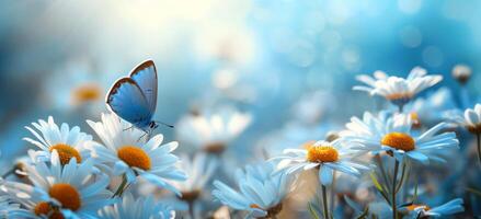 ai généré blanc marguerites et une bleu papillon en volant dans le ciel photo