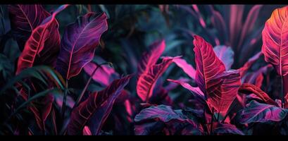 ai généré violet et rose feuilles sur une noir Contexte photo