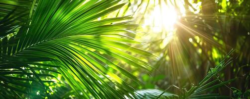 ai généré brillant lumière du soleil dans un idyllique vert paume jardin, tropical végétation Contexte bannière avec copie espace pour voyage, vacances et vacances photo