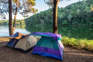 camping tente dans pin forêt sur réservoir à le coucher du soleil photo