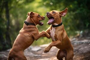 ai généré paire de espiègle animal de compagnie engagé dans une amical lutte rencontre photo