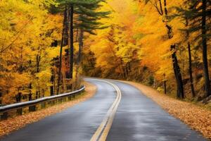 ai généré magnifique vue de asphalte route Aller par l'automne forêt photo