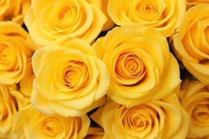 ai généré magnifique des roses avec Jaune pétales comme arrière-plan, macro vue photo