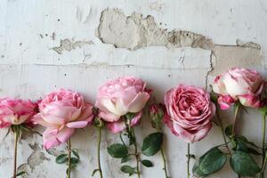 ai généré Frais rose des roses dans une rangée contre une blanc Contexte photo