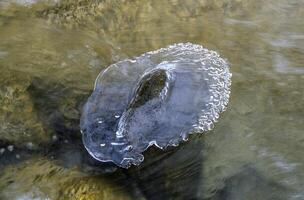 une pièce de la glace flottant dans l'eau photo