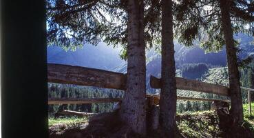 une vue de une Montagne intervalle avec des arbres et une clôture photo