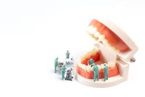 miniature gens , dentiste réparer Humain les dents avec les gencives et émail photo