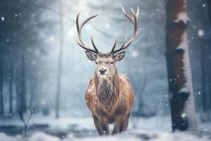 ai généré une cerf dans le neige avec une grand klaxon photo