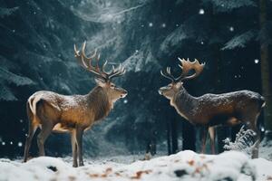 ai généré cerf en rut dans neige forêt photo