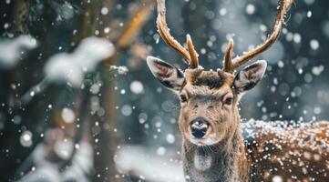 ai généré cerf sur une arbre avec neige photo