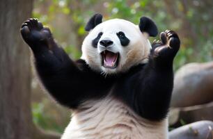 ai généré Panda de la chine zoo photo