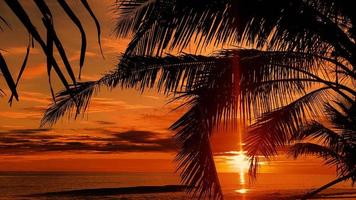 coucher de soleil sur la plage tropicale photo
