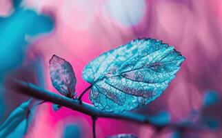 ai généré une feuille est sur une rose bleu Contexte montrant une violet et bleu Couleur photo