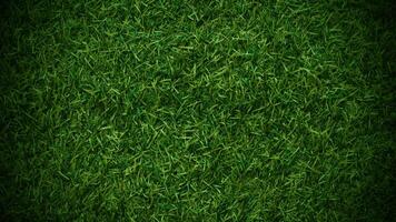 fond de texture d'herbe verte concept de jardin d'herbe utilisé pour faire un terrain de football de fond vert, golf d'herbe, fond texturé de motif de pelouse verte. photo