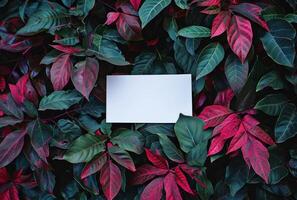 ai généré une Vide papier entouré par rouge feuilles photo