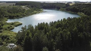 aérien vue de vert forêt et Lac rive. Stock images. en volant plus de Stupéfiant été Naturel paysage avec turquoise Lac entouré par pin arbre forêt. photo