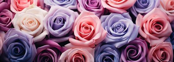 ai généré une proche en haut image de certains coloré des roses photo