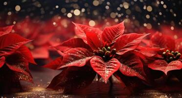 ai généré une proche en haut de magnifique poinsettia fleurs photo