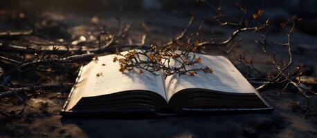 ai généré un ouvert Bible avec Dix les épines sur haut, photo