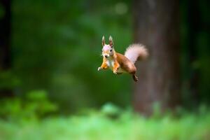 ai généré eurasien rouge écureuil sciurus vulgaris sauter dans le forêt à été jour, neural réseau généré photoréaliste image photo