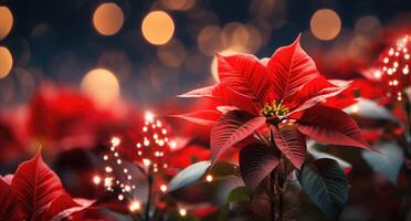 ai généré Noël poinsettias avec lumières et bokeh photo