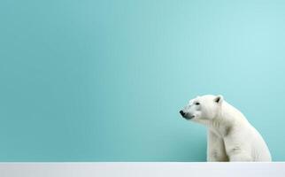 ai généré polaire ours près une bleu mur photo